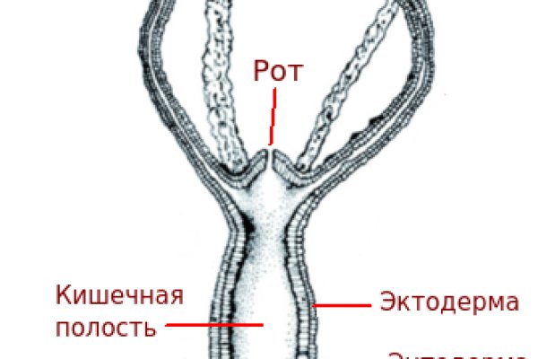 Кракен 2krnk cc