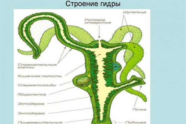 Kraken оригинальная ссылка